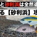 砂浜とは違う砂利浜サーフの攻略法