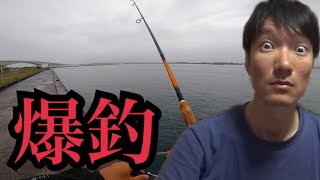 浜名湖でエサ無し投げサビキ釣りしたら…