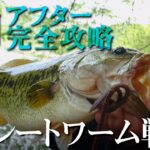 【バス釣り】アフタースポーンを完全攻略！ストレートワームの使い分け / 水野浩聡