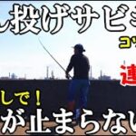 エサ無しサビキでアジが怒涛の入れ食いになった！サビキを遠投するだけで金アジが連発するコスパ最強のアジ狩り！