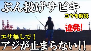 エサ無しサビキでアジが怒涛の入れ食いになった！サビキを遠投するだけで金アジが連発するコスパ最強のアジ狩り！