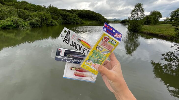 海釣り用ルアーでバス釣りしたら釣れ過ぎた