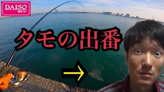 浜名湖でダイソーロッド使ってサビキ釣りからの想定外⁉︎の大物が…