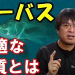 【シーバス】最適な水の色はあの飲み物くらいの色がベスト【村岡昌憲】