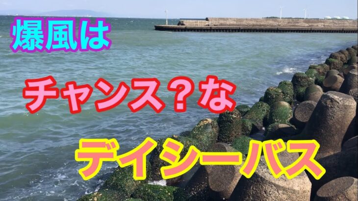 爆風はチャンス？なデイシーバス 知多半島