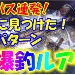 【シーバス連発】ついに見つけた！ハクパターン爆釣ルアー