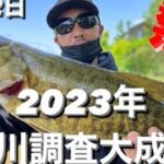 【埼玉バス釣りポイント】今年の逆川も熱い！デカイ！釣れる！【ブラックバス】