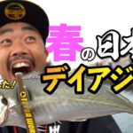 【アジング】春の日本海でデイアジング！尺アジを狙え！