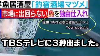 イカ釣りとタイラバ、飲ませ釣りに行きましたが、例年通り…。