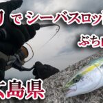 【広島県の堤防で青物ゲット!】 シーバス釣りをしていると、青物がヒットしました！