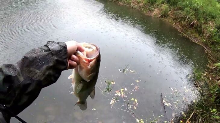 【】雨釣れるなぁ【】