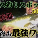 【バス釣り】バス釣り必見！デカバス釣るならこの仕掛けだ！埼玉バス釣りスポット【夜のバス釣り】