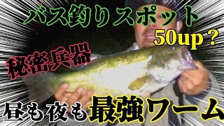 【バス釣り】バス釣り必見！デカバス釣るならこの仕掛けだ！埼玉バス釣りスポット【夜のバス釣り】