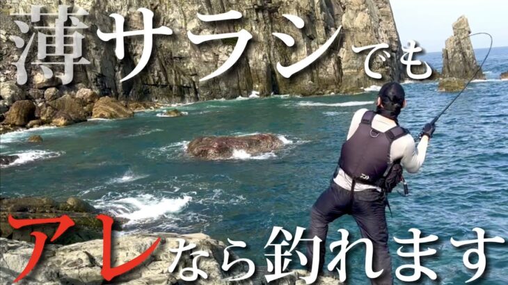 【ヒラスズキ】何度も撃ったポイントでもアレなら釣れます！