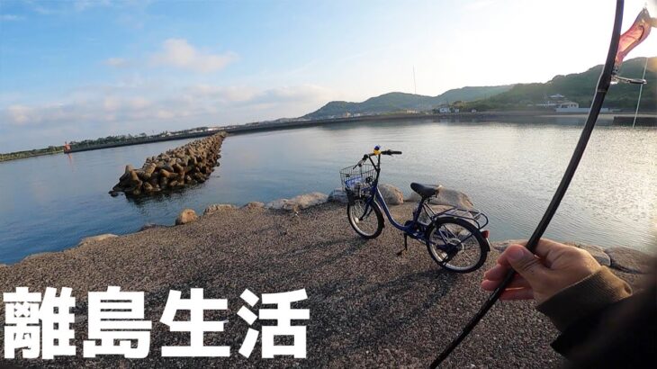 離島の海水浴場でデカいの釣れました。