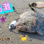 【鹿島灘サーフ】ぶっ飛びスプーンでヒラメを攻略🎣