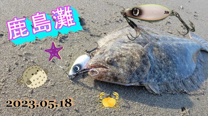 【鹿島灘サーフ】ぶっ飛びスプーンでヒラメを攻略🎣