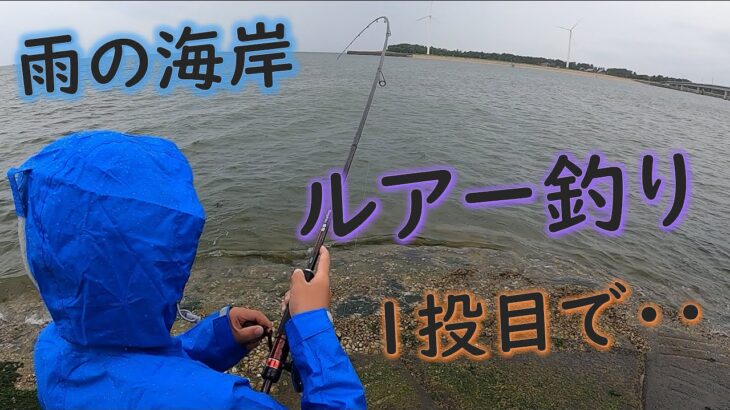 雨の海岸でルアー釣りすると１投目で・・