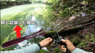 【釣り】このワームは万能⁉︎どんなリグにも合うそして回遊バスが本気で食ってきた。