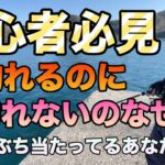 秋イカ釣れるのに春イカ釣れないのなぜ？壁にぶち当たってる人必見！