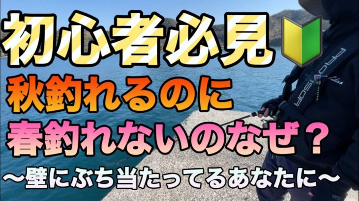 秋イカ釣れるのに春イカ釣れないのなぜ？壁にぶち当たってる人必見！