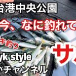 仙台港中央公園 今、なに釣れてる⁉️ おすすめ サビキ釣り サバ爆釣 仙台港よかチャンネル