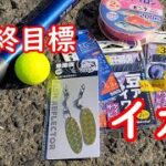 サビキ釣りシーズン開始！ついに海にも春が来た！