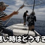 【奄美大島】スマガツオマックスサイズ！【スロージギング】