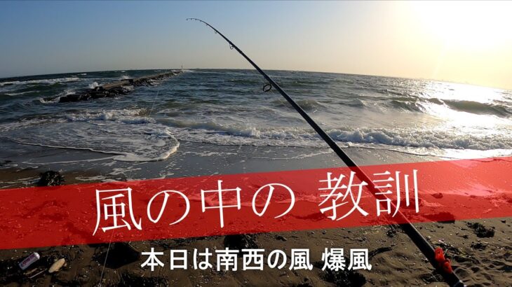 【番外編】強風の中のシーバス釣り【東京湾シーバスチャンネル】強風の中ルアー投げたら二日ともアレで終了