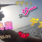 【鹿島灘サーフ】あと〇センチで座布団ヒラメ‼好調サーフでヒラメ釣り🎣