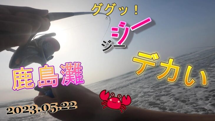 【鹿島灘サーフ】あと〇センチで座布団ヒラメ‼好調サーフでヒラメ釣り🎣