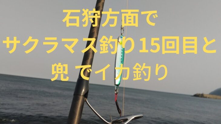 サクラマス釣り１５回目とイカ釣り