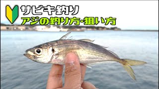 【初心者向け】サビキ釣り「アジ」を狙おう！【アジの釣り方】