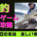 【シーバス】梅雨、夏！！排水は反転流を釣る！！ナレージ　ブローウィン　サイドターンフォール　デイゲーム　シーバスルアー