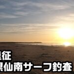 マゴチが釣れていると聞いて仙南サーフ釣査