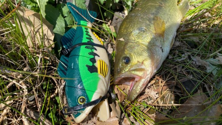 【バス釣り】バス型のおもちゃでバスを釣る！自作のおもちゃルアーを使用してみた結果、予想外のアクション・動きを是非ご覧ください。【自作ルアー】【ビッグベイト】