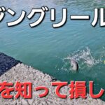 【アジング】リール選び、損しない為に抑えておくべきメリット・デメリット