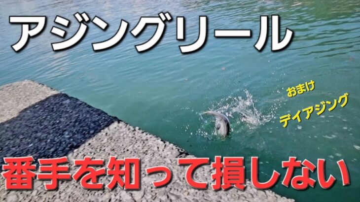 【アジング】リール選び、損しない為に抑えておくべきメリット・デメリット