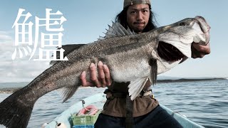 【ランカーシーバス】鱸が釣れ過ぎて帰れない【前編】