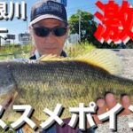 【埼玉バス釣りポイント】古利根川堰下！どでかいラージ釣れる！今が熱い！【オススメバス釣りポイント】