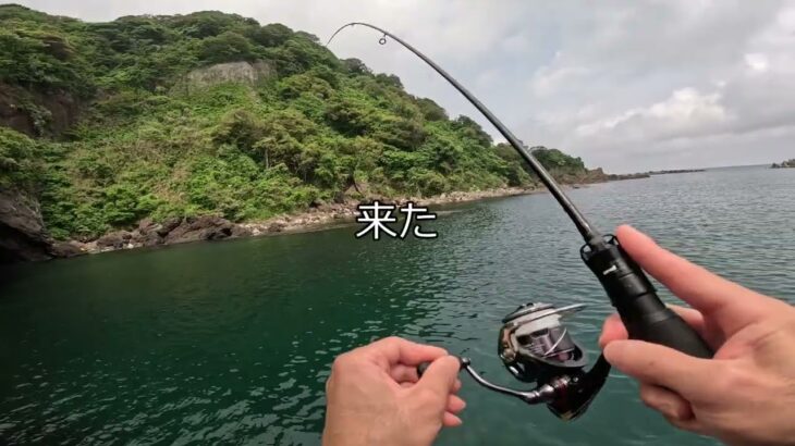 日本海アジングと釣れないイカ