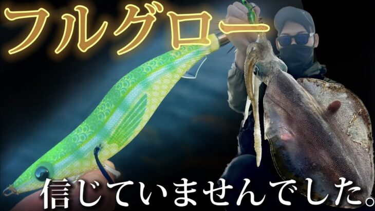 【エギング】釣具屋で半額になっていたフルグローのエギが凄かった！今年はアオリイカ当たり年！？