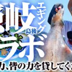 エギング隠岐コラボ！釣りの力で隠岐の島町を救いたい！皆の力を少し貸してください。