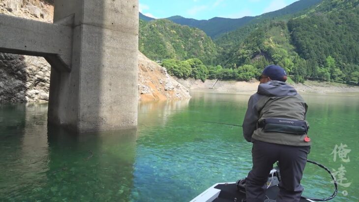 ロクマルの群れに囲まれたルアーが、その直後！！【池原ダム】