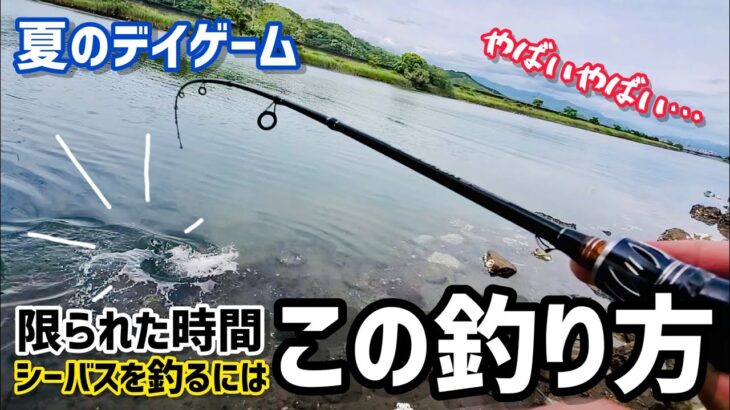 デイシーバスを釣るためには〇〇〇〇がおすすめ！