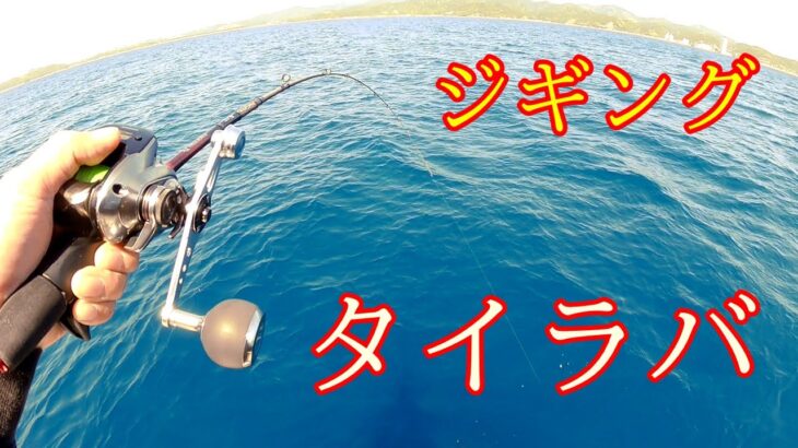 タイラバと中深海ジギングで魚たちに遊んでもらいます