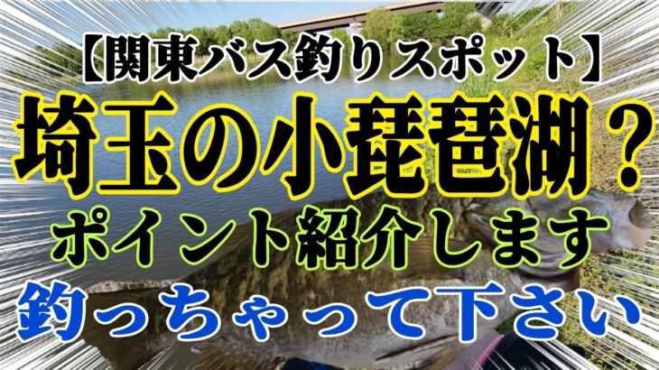 【関東バス釣り】埼玉のバス釣りポイント！埼玉の小琵琶湖か？行くとこ無きゃここしかない！