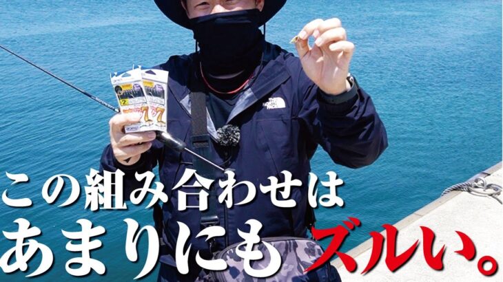 釣果に悩んだら試してみて。堤防ライトゲームの最終兵器があると聞いて試してみた結果…