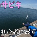 この時期おすすめ！コツのいらないサビキ釣り！【茨城】