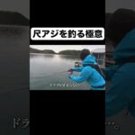 真っ昼間に尺アジを釣るための極意 #アジング